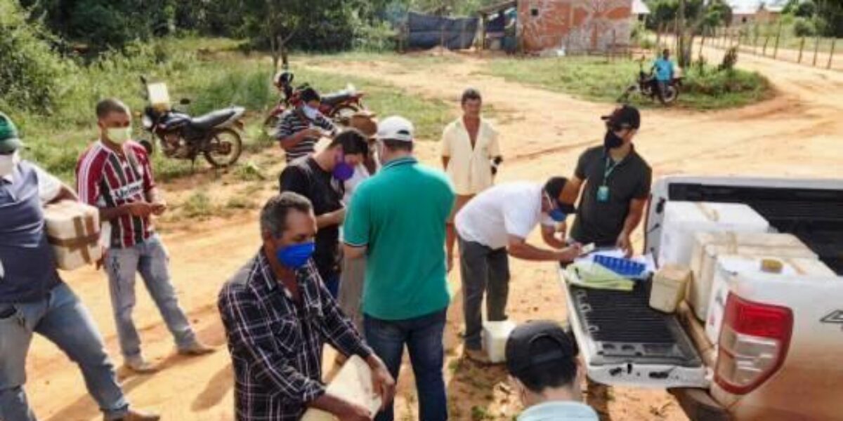 Agrodefesa e Fundepec doam 20,7 mil doses de vacina contra aftosa para comunidades quilombolas