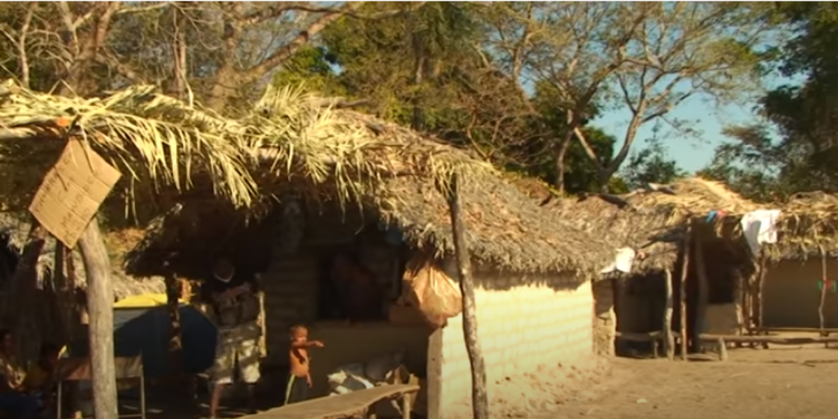 Governo de Goiás assegura doação de mais 500 cestas básicas a quilombolas