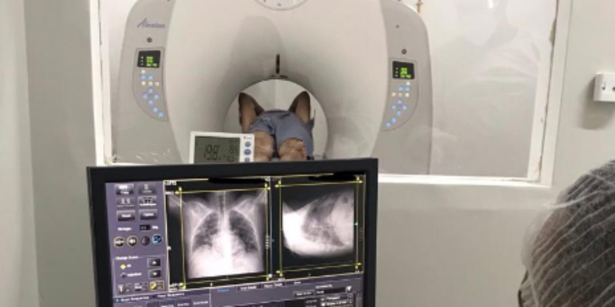 Hospital de Luziânia inaugura serviço de tomografia computadorizada