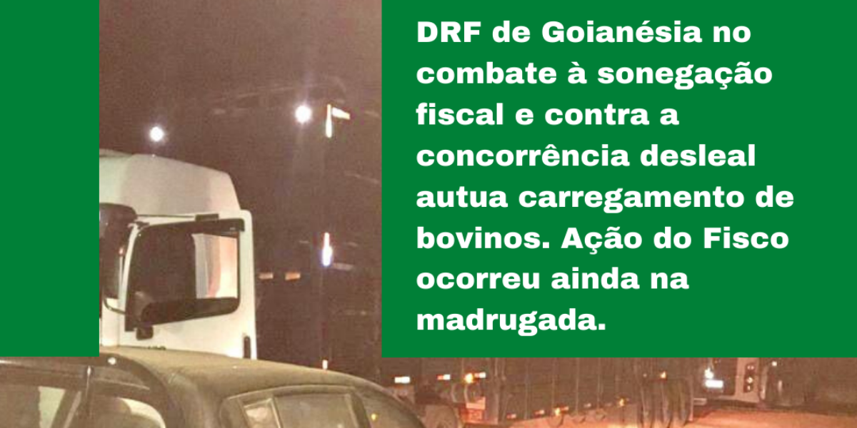 DRF de Goianésia flagra transporte de bovinos em situação fiscal ilegal