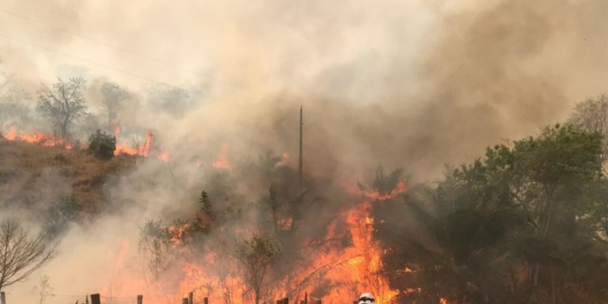 Bombeiro apela para que população não ateie fogo na vegetação