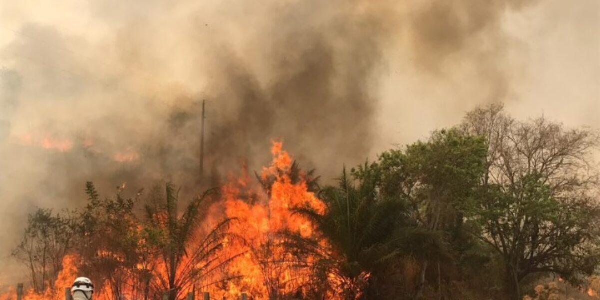 Focos de queimadas aumentam 69% na Região Sudoeste