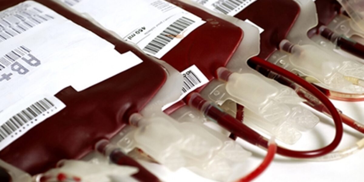 Junho Vermelho: Rede Hemo abre mês da doação de sangue
