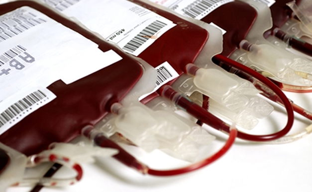 Junho Vermelho: Rede Hemo abre mês da doação de sangue