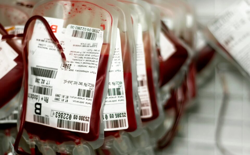 Portal Expresso divulga estoque de bolsas de sangue do Hemocentro diariamente