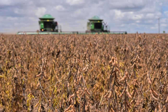 Produção de grãos deve crescer 11,6% em Goiás