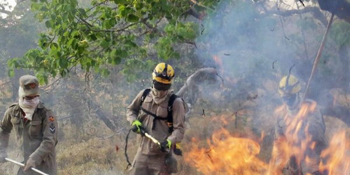 Governo de Goiás decreta situação de emergência ambiental