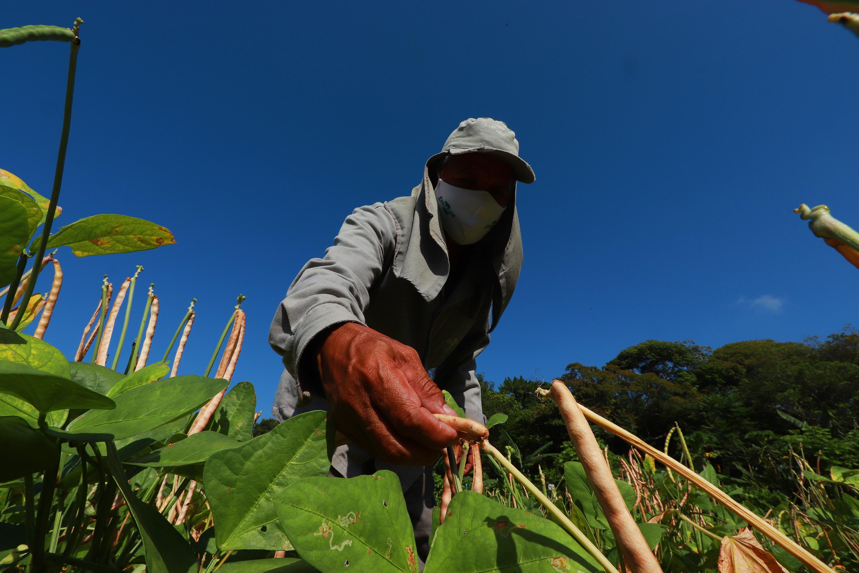 Agro registra saldo positivo de 11 mil vagas formais de trabalho