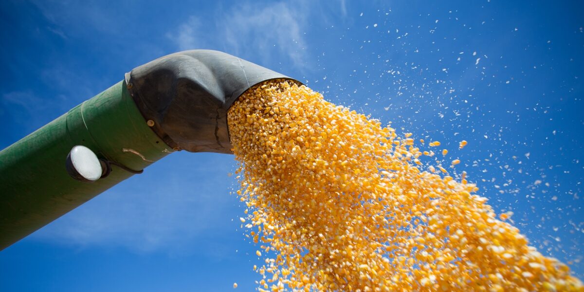 Exportações de cereais e farinhas dobram volume e triplicam faturamento