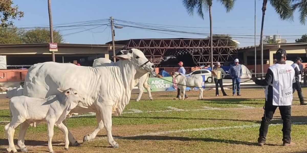 Eventos pecuários devem ter registro na Agrodefesa