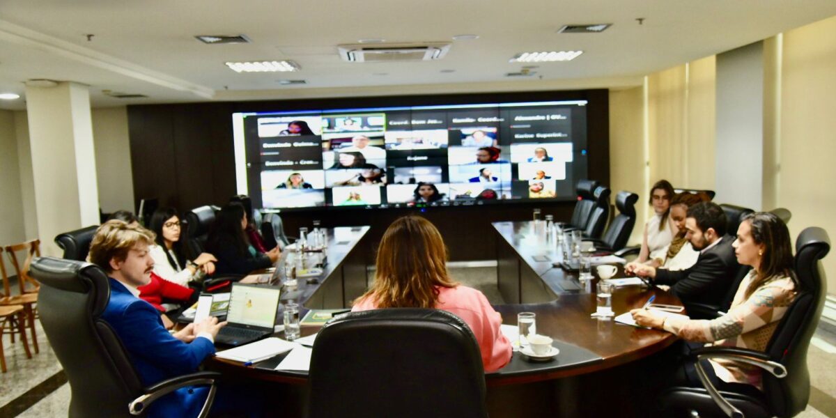 Gracinha Caiado discute conferências de assistência social