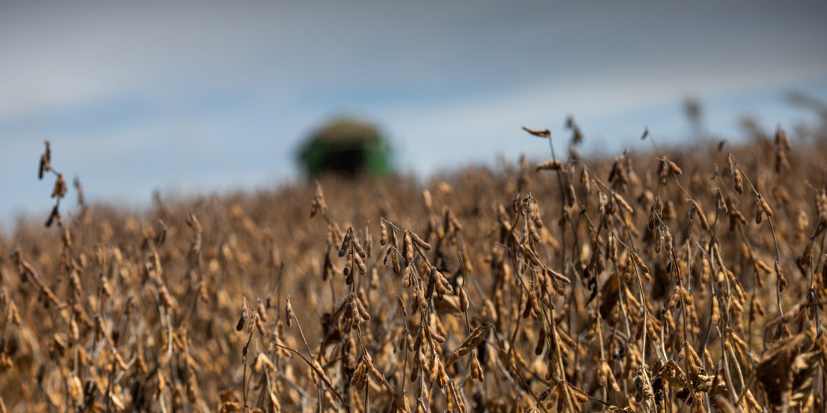 Agro goiano exporta US$ 1,1 bilhão em abril