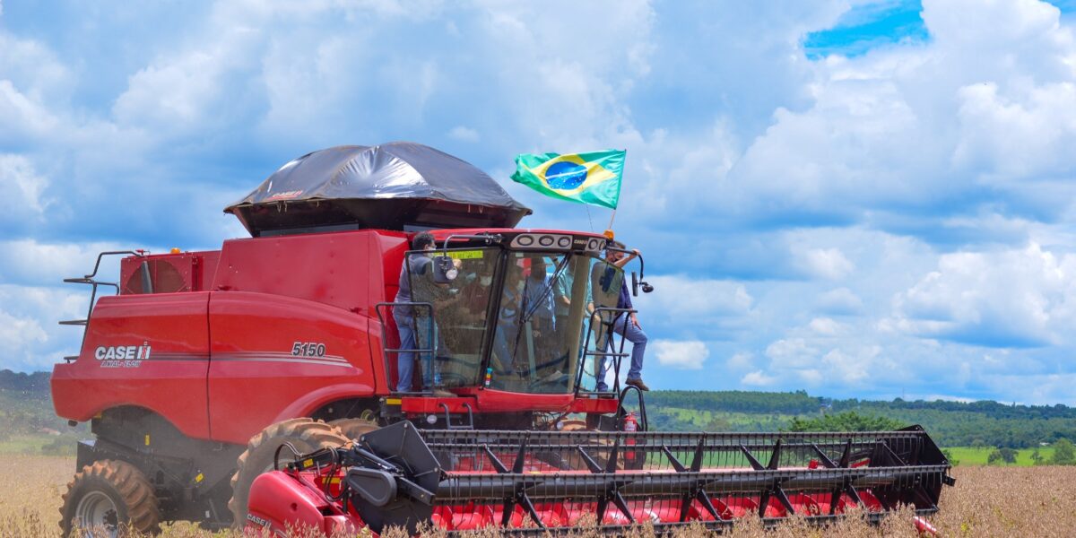 Geração de empregos em Goiás é destaque nacional