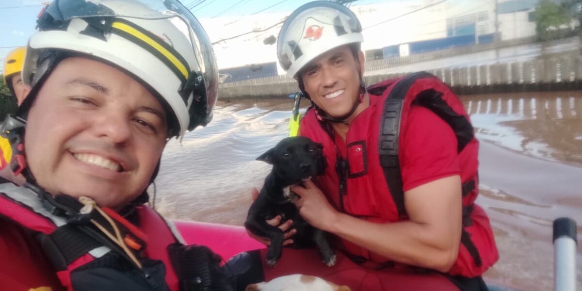 Bombeiros de Goiás iniciam trabalho de resgate no Rio Grande do Sul