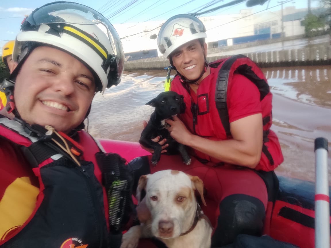 Bombeiros de Goiás iniciam trabalho de resgate no Rio Grande do Sul