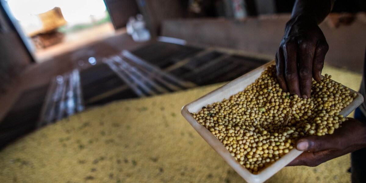 Saldo da balança comercial entre Goiás e China é de US$ 827 milhões, neste 1º trimestre