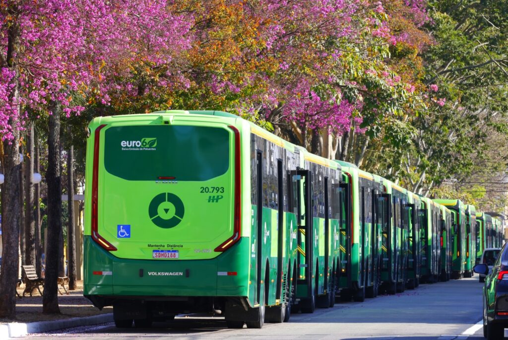 novos ônibus do transporte coletivo