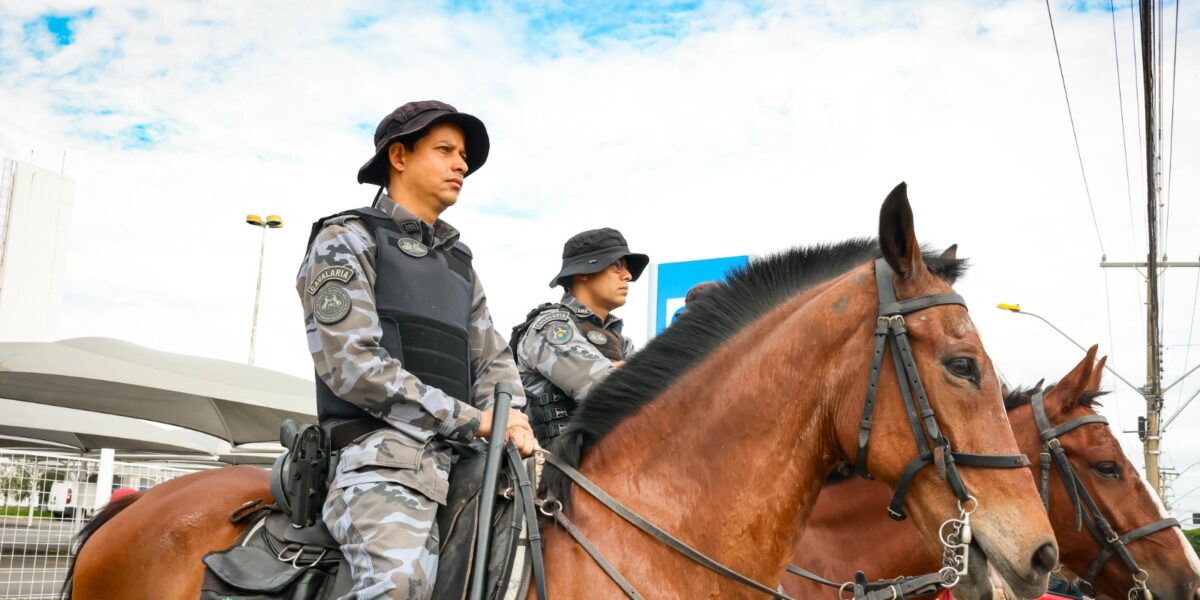 Balanço da Operação Natal Integrado mostra queda nas ocorrências de crime