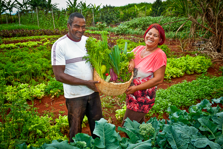 Fomento Rural de Goiás destina recursos a agricultores familiares