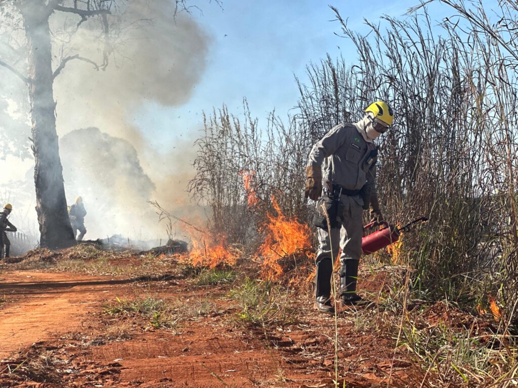 Prazo para solicitar autorização de queimada controlada está aberto