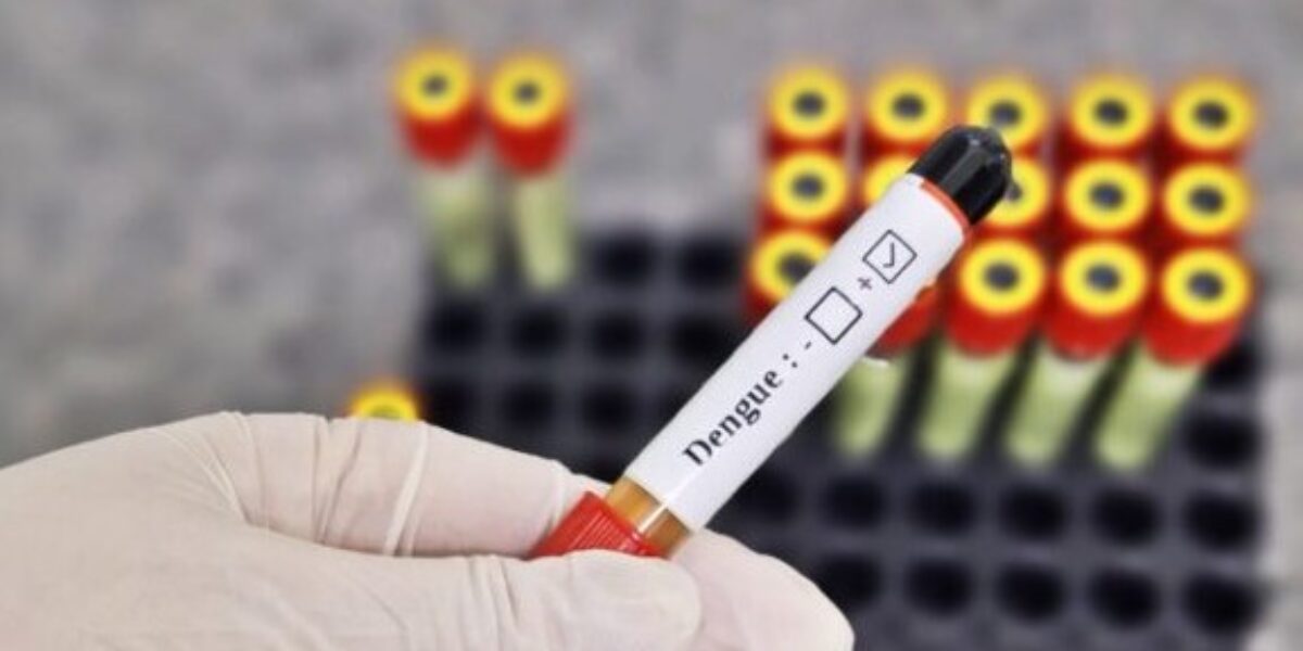 Período chuvoso pede mais atenção contra a dengue