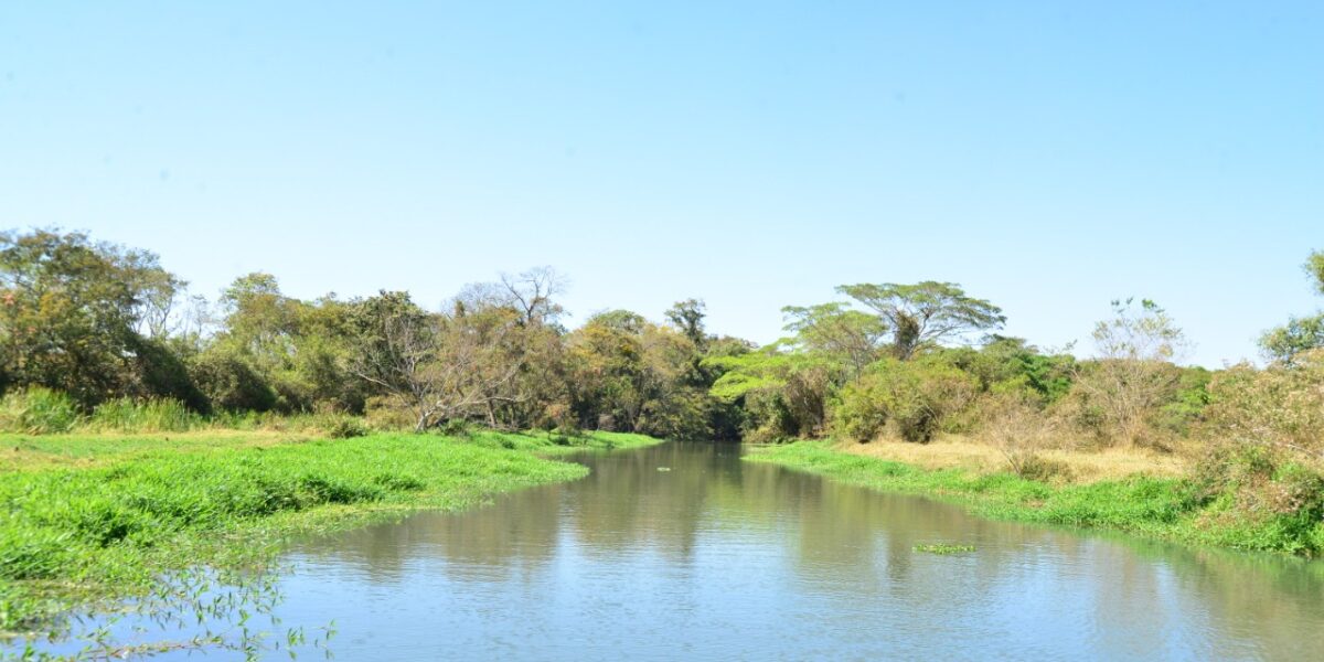 Meio Ambiente: detentores de outorgas devem atualizar dados