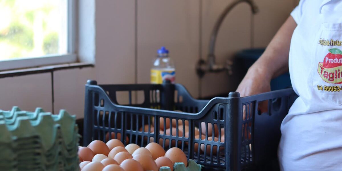 Pequeno produtor fique atento! Inscrições em Projeto de Melhoria da Qualidade das Agroindústrias terminam neste sábado