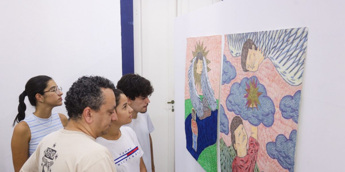 Governo de Goiás lança edital de artes visuais para Fica 2026