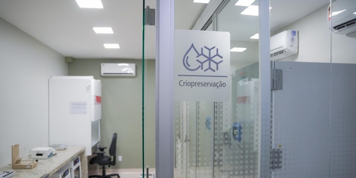 Goiás inaugura primeiro Centro de Processamento Celular