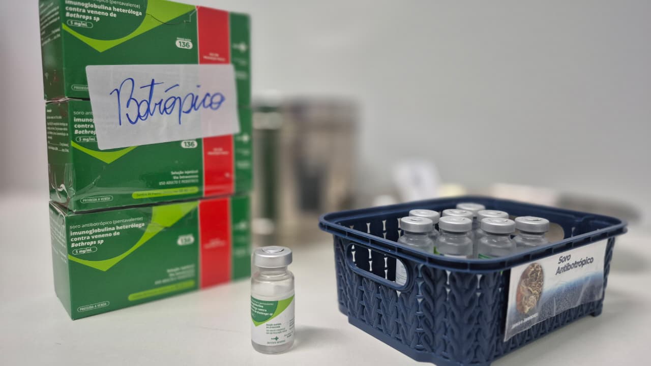 Saúde orienta sobre primeiros socorros em casos de picadas de cobra