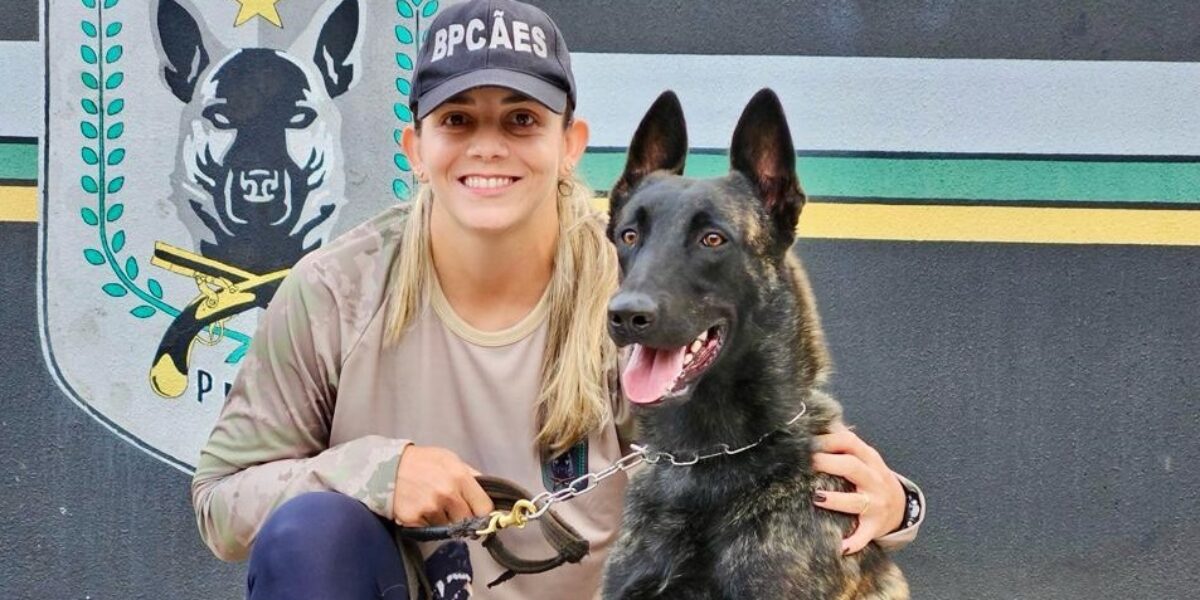 2ª Cãominhada do BPCães já tem mais de 2,5 mil inscritos