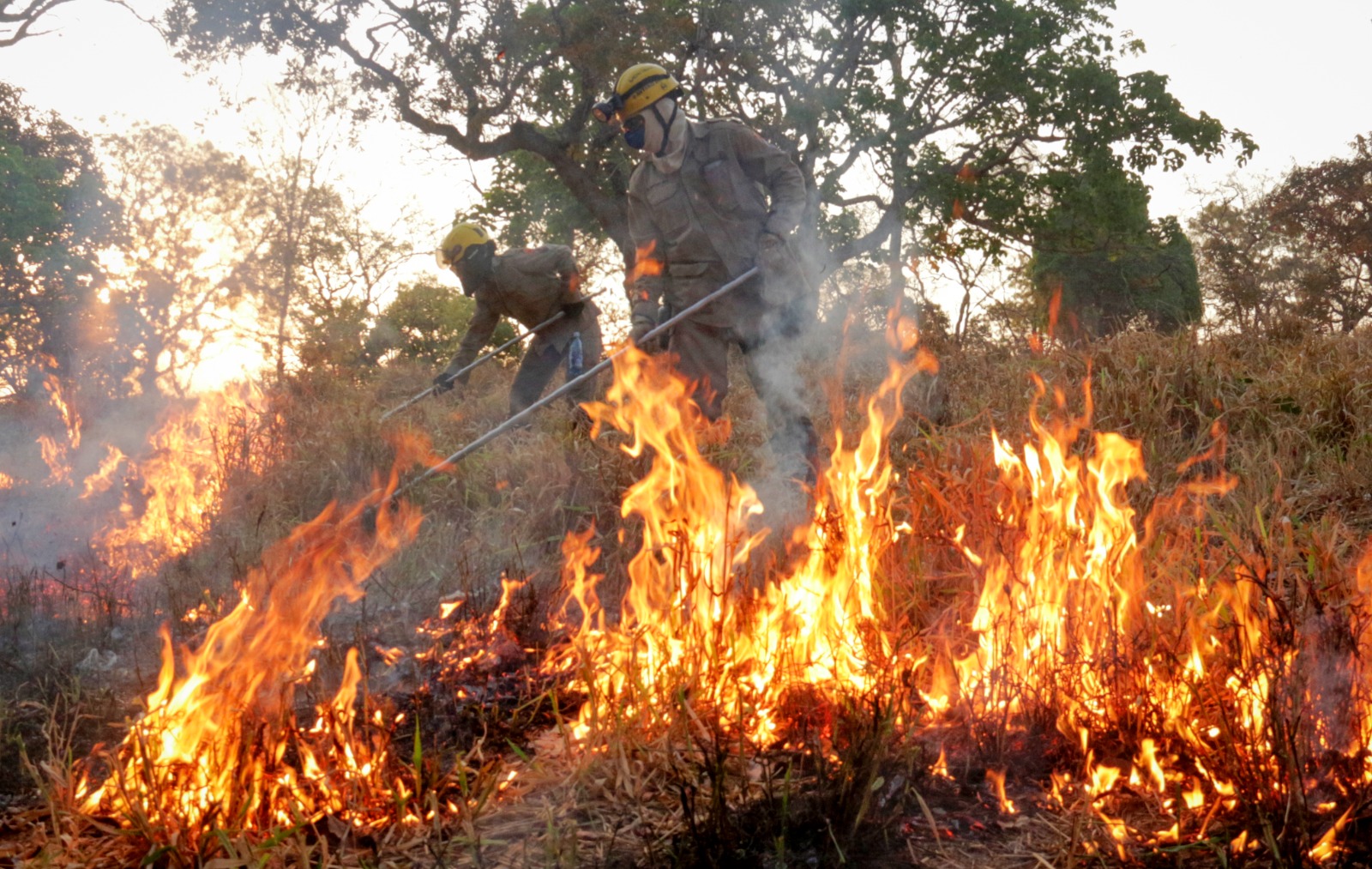 Incêndio em vegetação