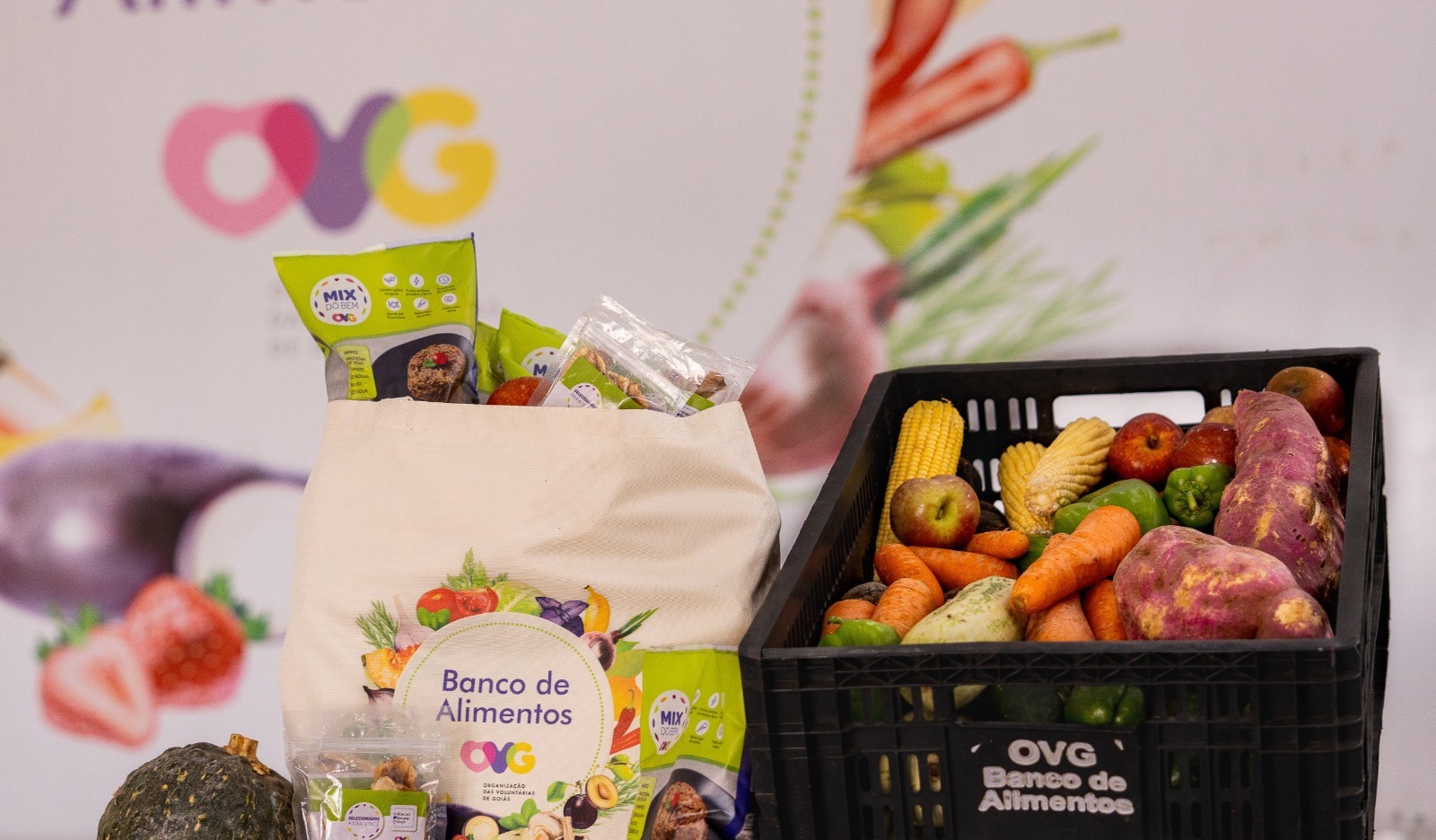 Banco de Alimentos da OVG orienta famílias sobre cadastro para receber alimentos semanalmente